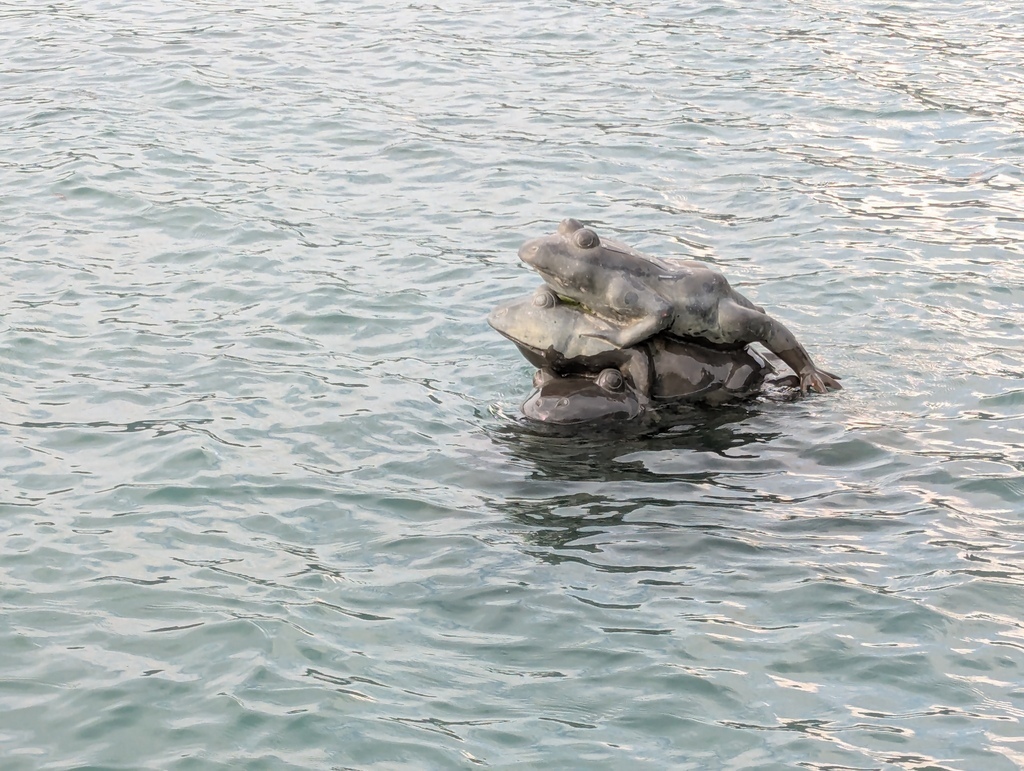 【旅遊】2024.10.08 - 日月潭 【旅遊】2024.10.08 - 日月潭