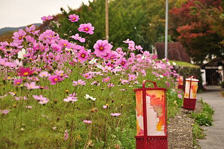 DSC_0147.JPG DSC_0147.JPG