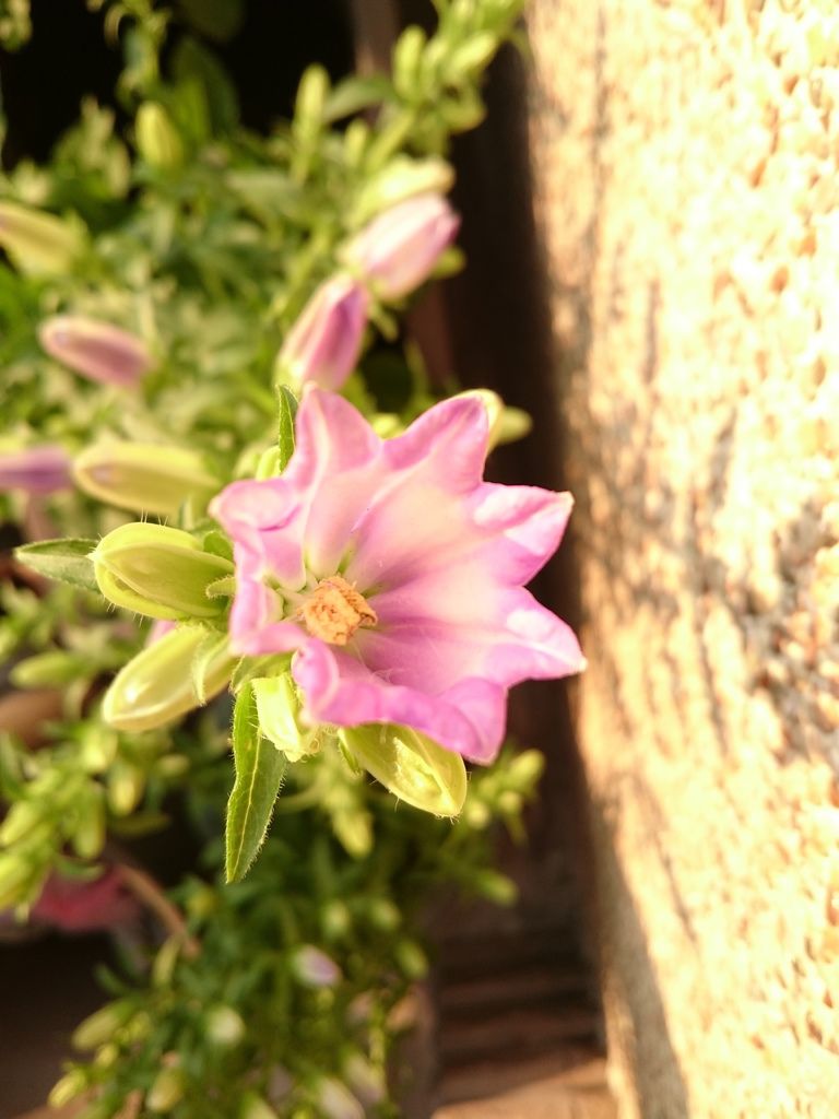 DSC_3358.JPG DSC_3358.JPG