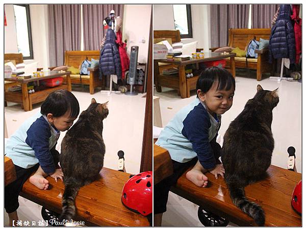 nEO_IMG_201603195.jpg nEO_IMG_201603195.jpg