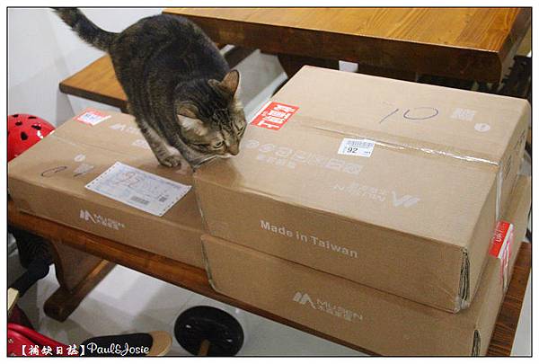 nEO_IMG_IMG_9129.jpg nEO_IMG_IMG_9129.jpg