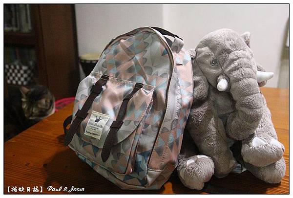 nEO_IMG_IMG_9792.jpg nEO_IMG_IMG_9792.jpg