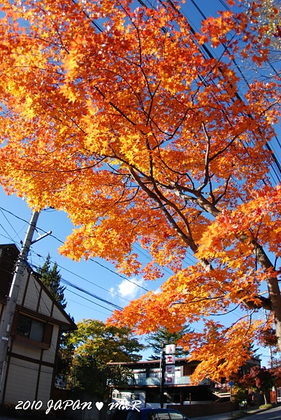 DSC_3142_600.JPG DSC_3142_600.JPG