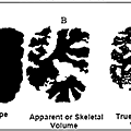 plastic microscoper.png