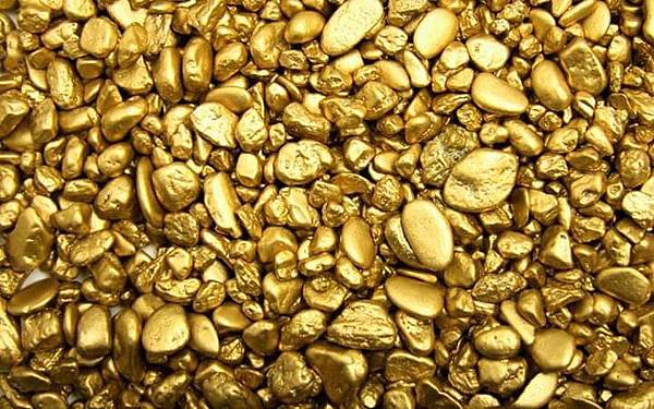 gold pellet.jpg