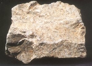 為何岩石礦物要測試比重？