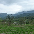 P1160344.JPG
