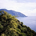 img367.jpg