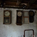 P1020129.JPG