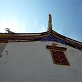 P1020195.JPG