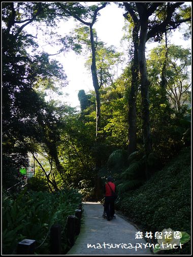 森林鳥花園_30.jpg