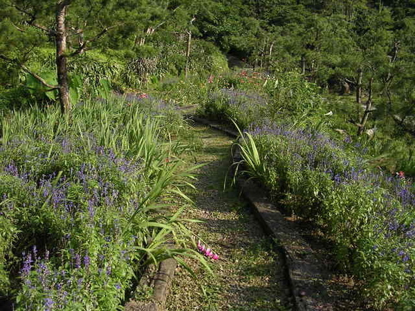 香草園