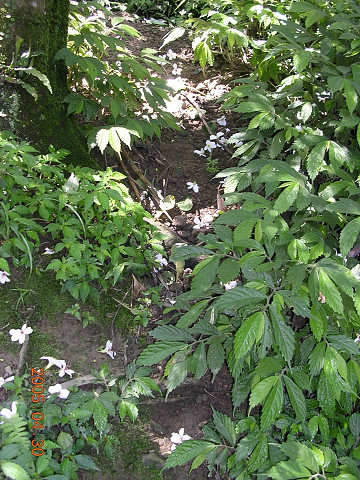 石門山登山步道