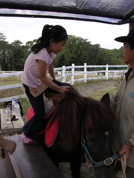 倢安上馬