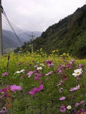 台7甲_四季與南山部落_3