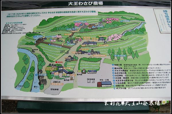 01_大王wasabi.jpg 01_大王wasabi.jpg