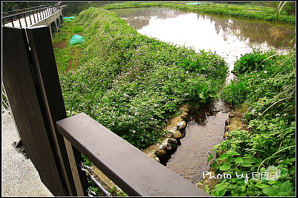 頭寮生態步道11.jpg