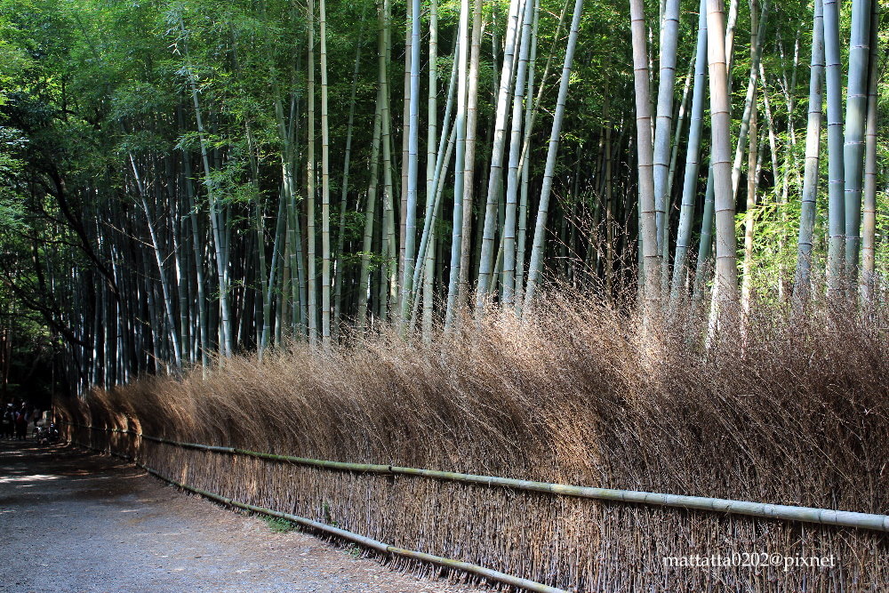 IMG_0482.JPG IMG_0482.JPG