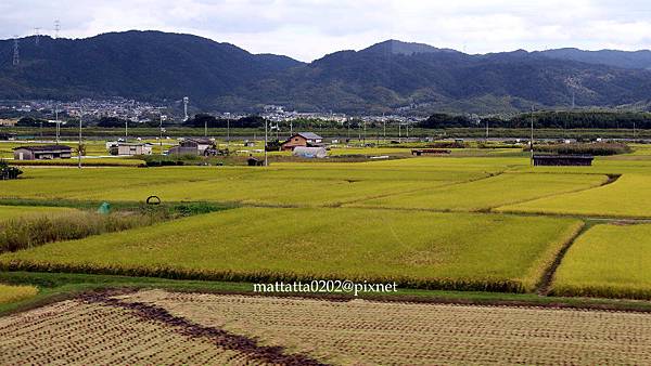 IMG_0943.JPG IMG_0943.JPG