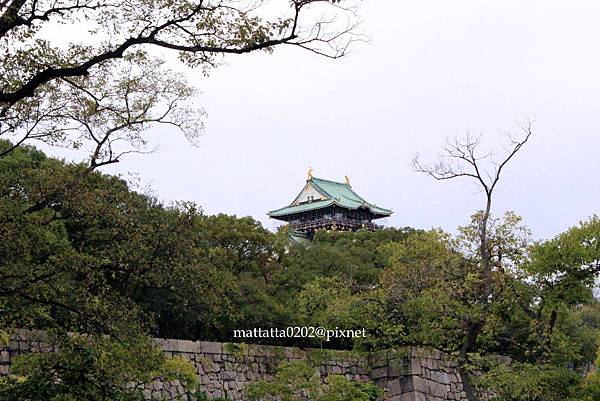 IMG_1457.JPG IMG_1457.JPG