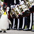 Sir Penguin03