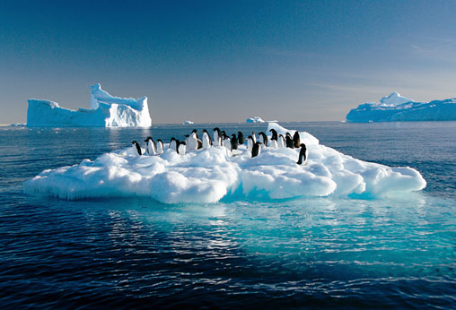 Penguins on a moving iecberg