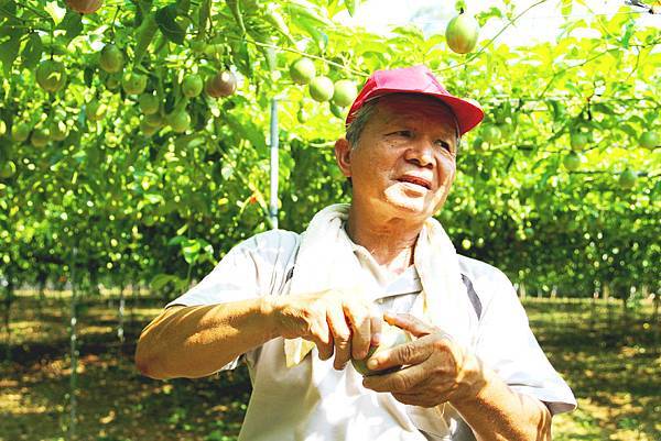 IMG_3705拷貝 IMG_3705拷貝