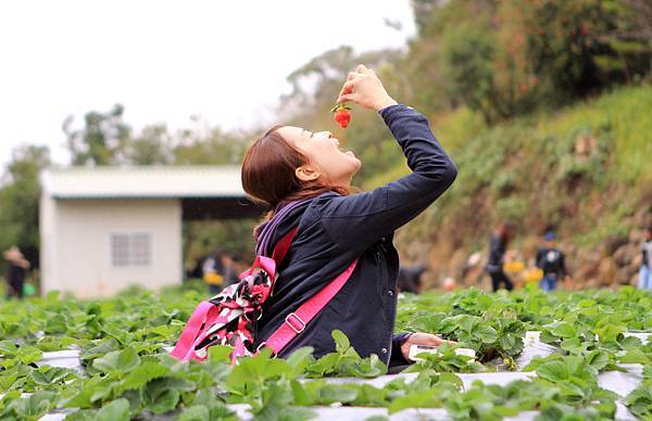 IMG_7828.jpg IMG_7828.jpg