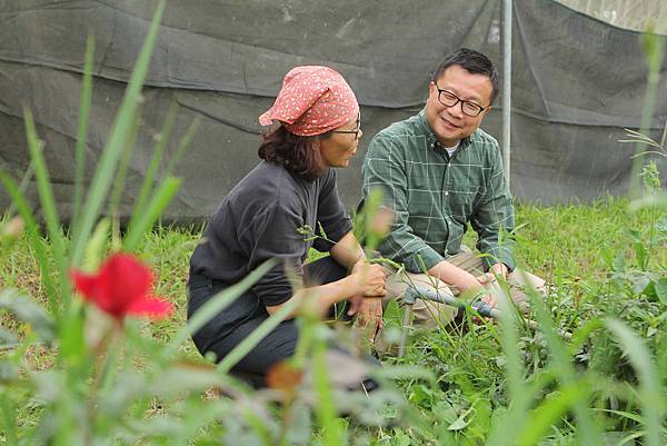 IMG_0799.JPG IMG_0799.JPG