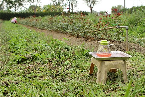 IMG_0840.JPG IMG_0840.JPG