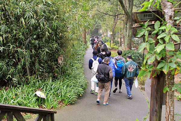 IMG_7800.JPG IMG_7800.JPG