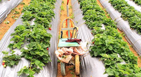 IMG_7814.jpg IMG_7814.jpg