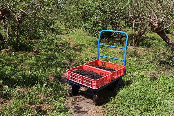 IMG_2480.JPG IMG_2480.JPG