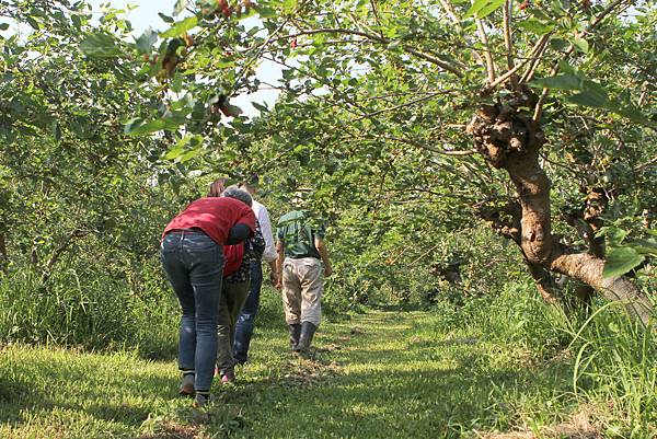 IMG_2668.JPG IMG_2668.JPG