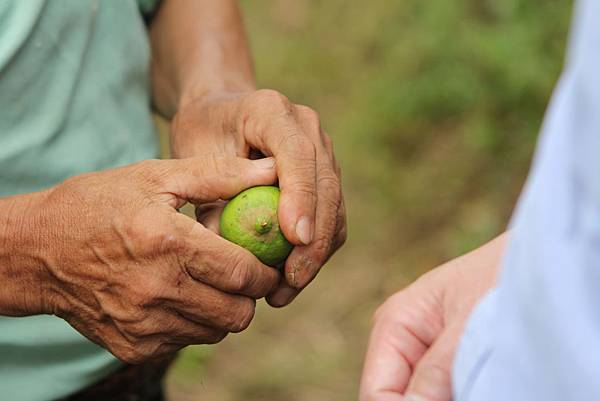 IMG_9791.JPG IMG_9791.JPG