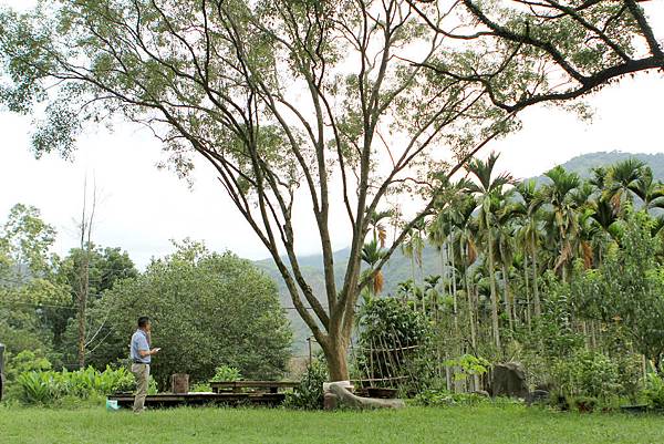 IMG_9647.JPG IMG_9647.JPG