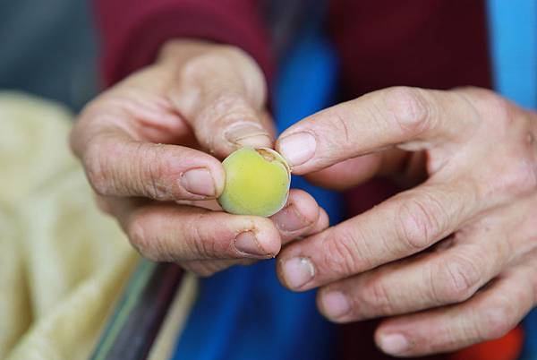 IMG_7651.JPG IMG_7651.JPG