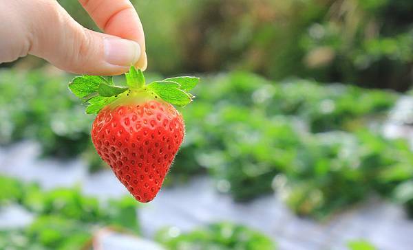 IMG_2372.JPG IMG_2372.JPG