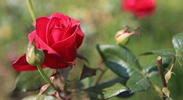 IMG_7668.jpg
