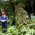 DSCN1113.JPG