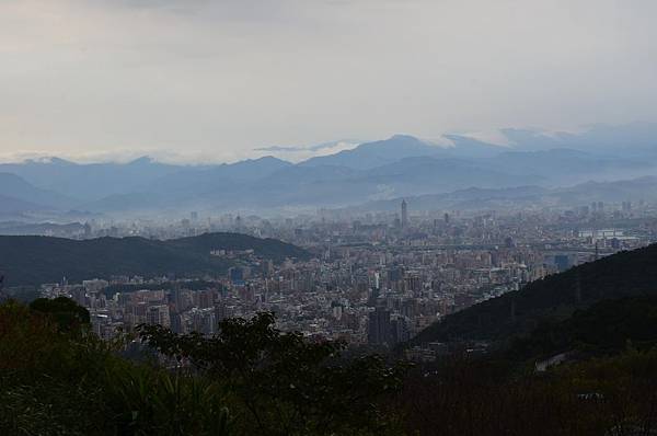 DSC_7385 DSC_7385