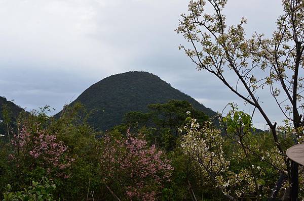 DSC_7420 DSC_7420