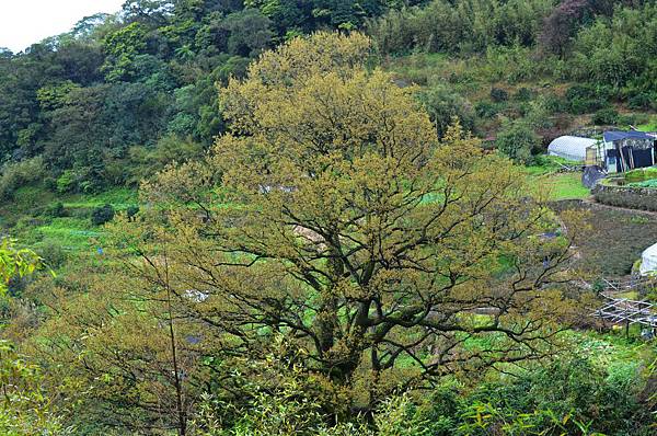 DSC_7435 DSC_7435