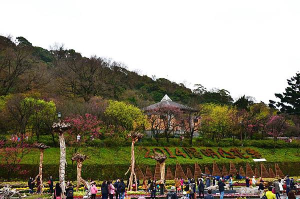 DSC_7457 DSC_7457
