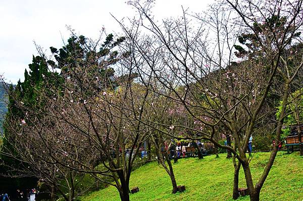 DSC_7500 DSC_7500