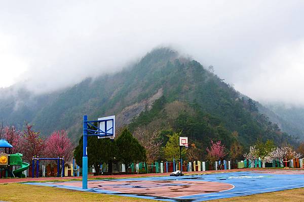 DSC_9056.JPG DSC_9056.JPG