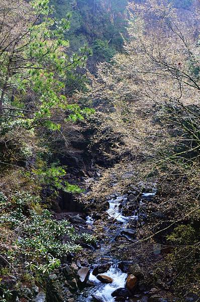 DSC_9102.JPG DSC_9102.JPG