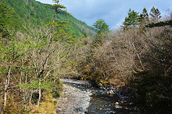 DSC_9160.JPG DSC_9160.JPG