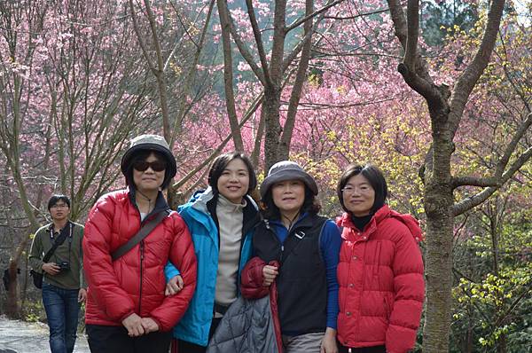 DSC_9176.JPG DSC_9176.JPG