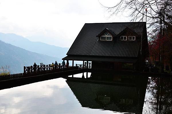 DSC_9313.JPG DSC_9313.JPG